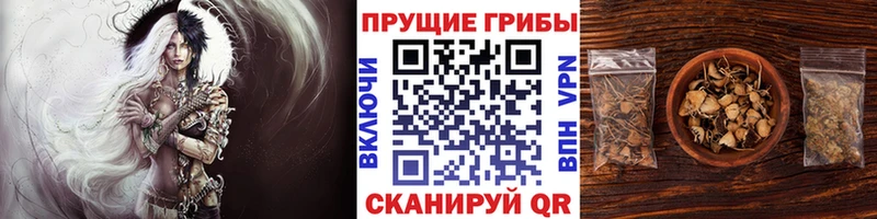 Галлюциногенные грибы мухоморы  Дмитровск 